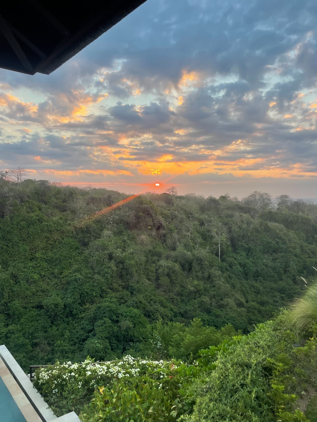 Forest at sunset