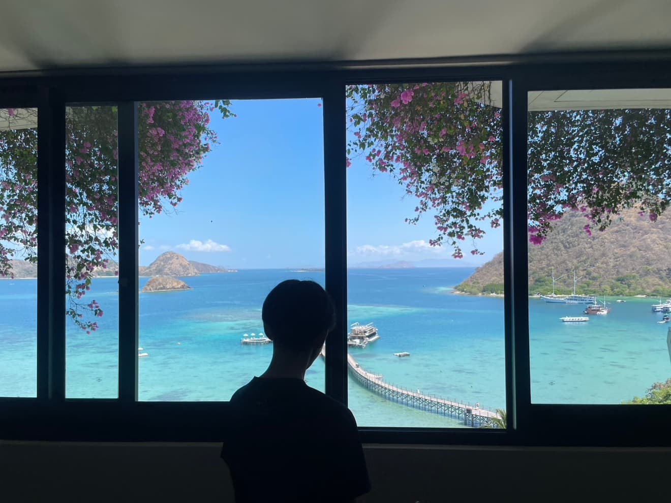 A silhouette gazing at the sea
